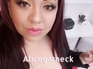 Alicegarneck