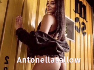 Antonellasallow