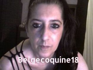 Belgecoquine18