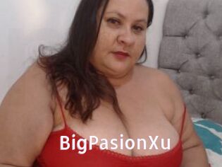 BigPasionXu