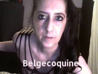 Belgecoquine