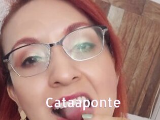 Cataaponte