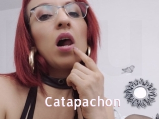 Catapachon