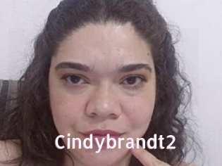 Cindybrandt2