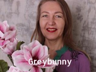 Greybunny