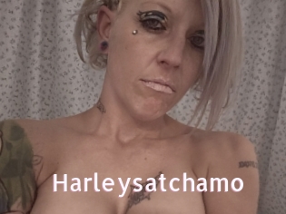 Harleysatchamo