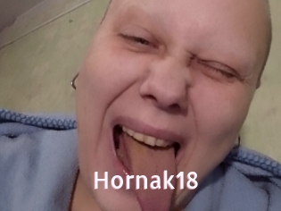 Hornak18