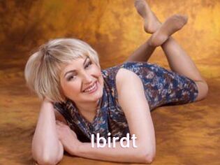 Ibirdt