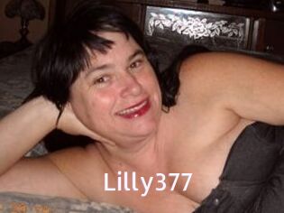 Lilly377