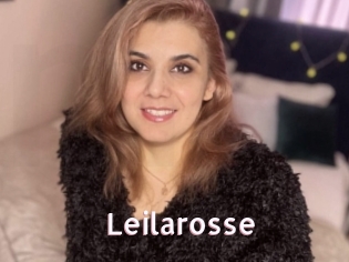 Leilarosse