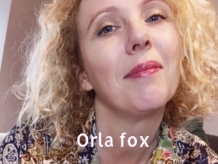 Orla_fox