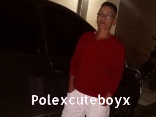 Polexcuteboyx