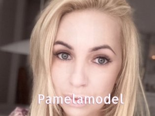 Pamelamodel