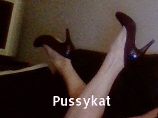 Pussykat