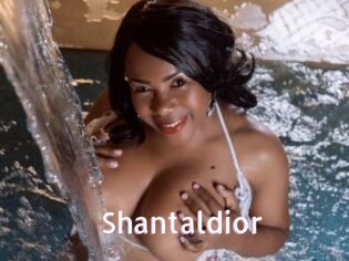 Shantaldior