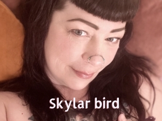 Skylar_bird