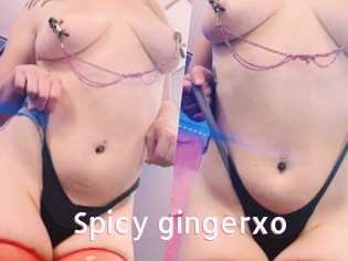 Spicy_gingerxo