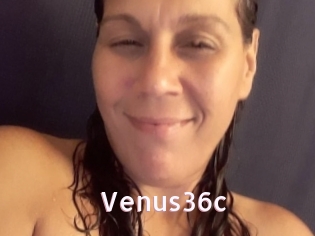 Venus36c