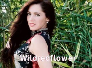 Wildredflower