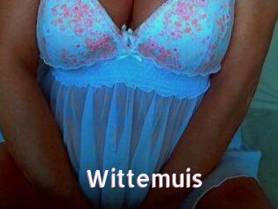 Wittemuis