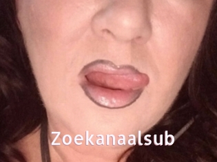 Zoekanaalsub